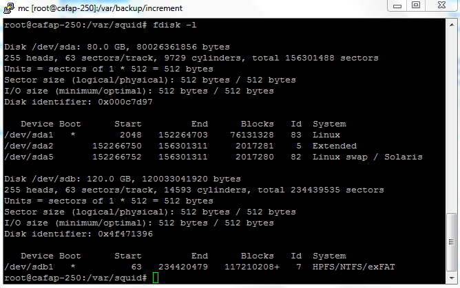 Fdisk -l в Debian
