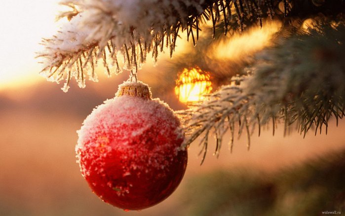 С Новым 2014 годом!